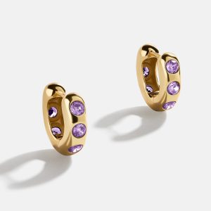 Sydney 18K Gold Birthstone Earrings - Light Amethyst